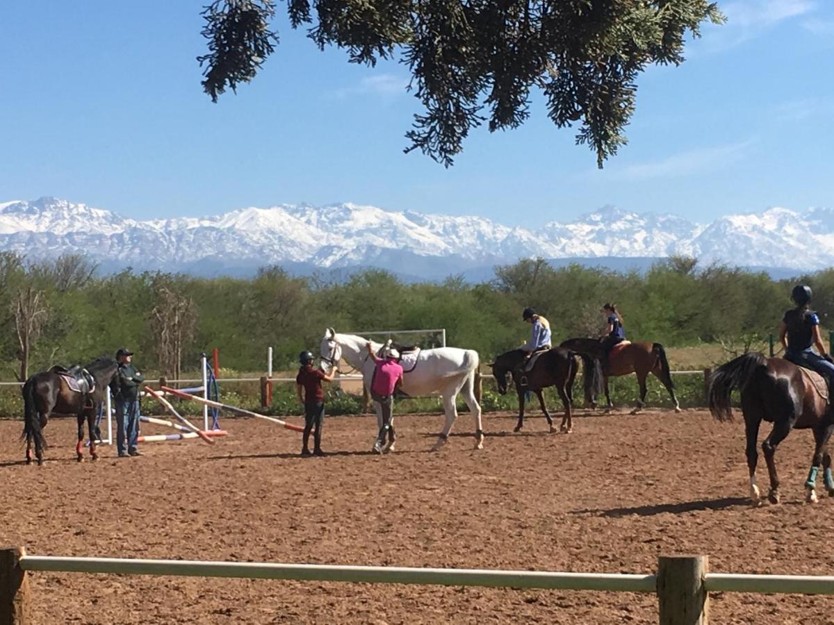 Aït HamidLa Vie En Rose - Horses & Dogs House住宿加早餐旅馆 外观 照片