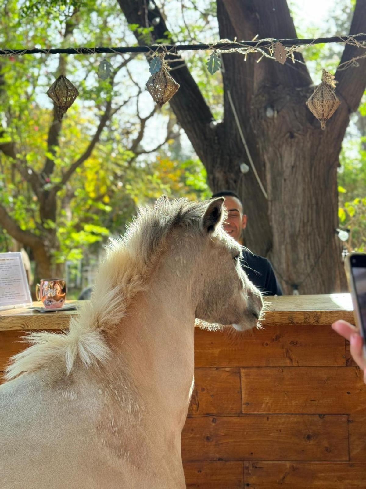 Aït HamidLa Vie En Rose - Horses & Dogs House住宿加早餐旅馆 外观 照片